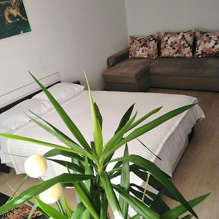 Garsoniera Rebecca Apartment ตือร์กูออกนา ภายนอก รูปภาพ