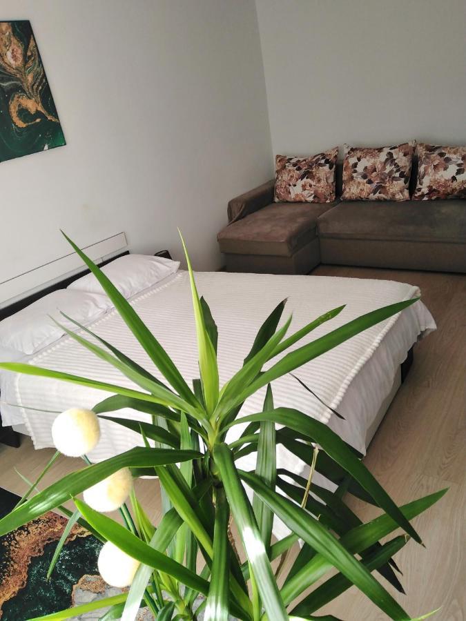 Garsoniera Rebecca Apartment ตือร์กูออกนา ภายนอก รูปภาพ