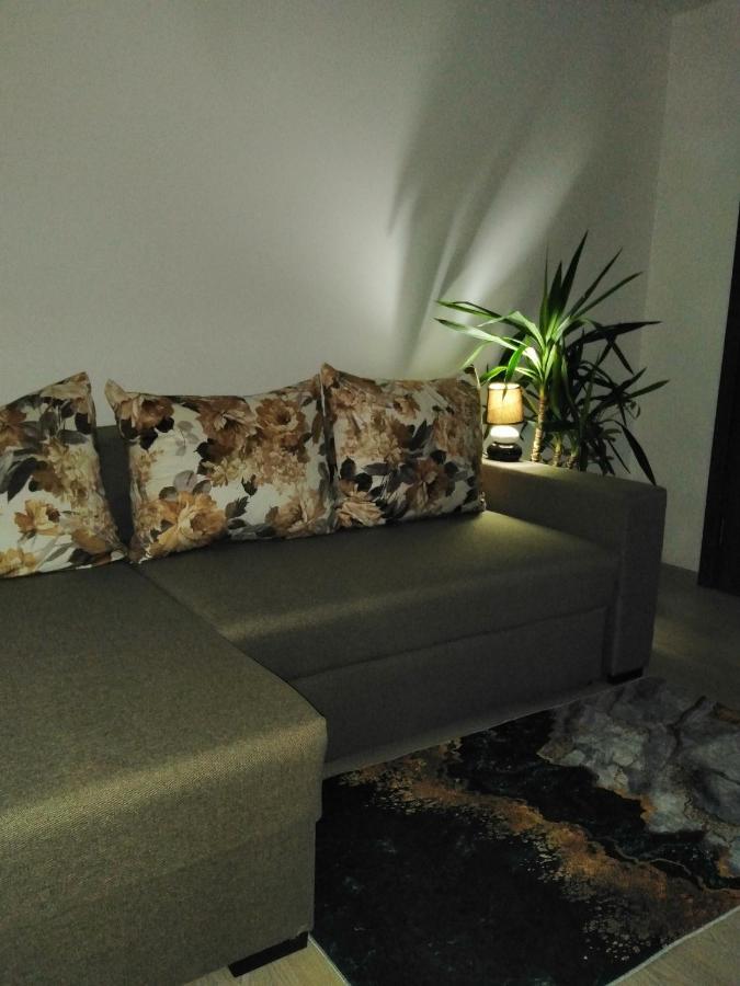 Garsoniera Rebecca Apartment ตือร์กูออกนา ภายนอก รูปภาพ