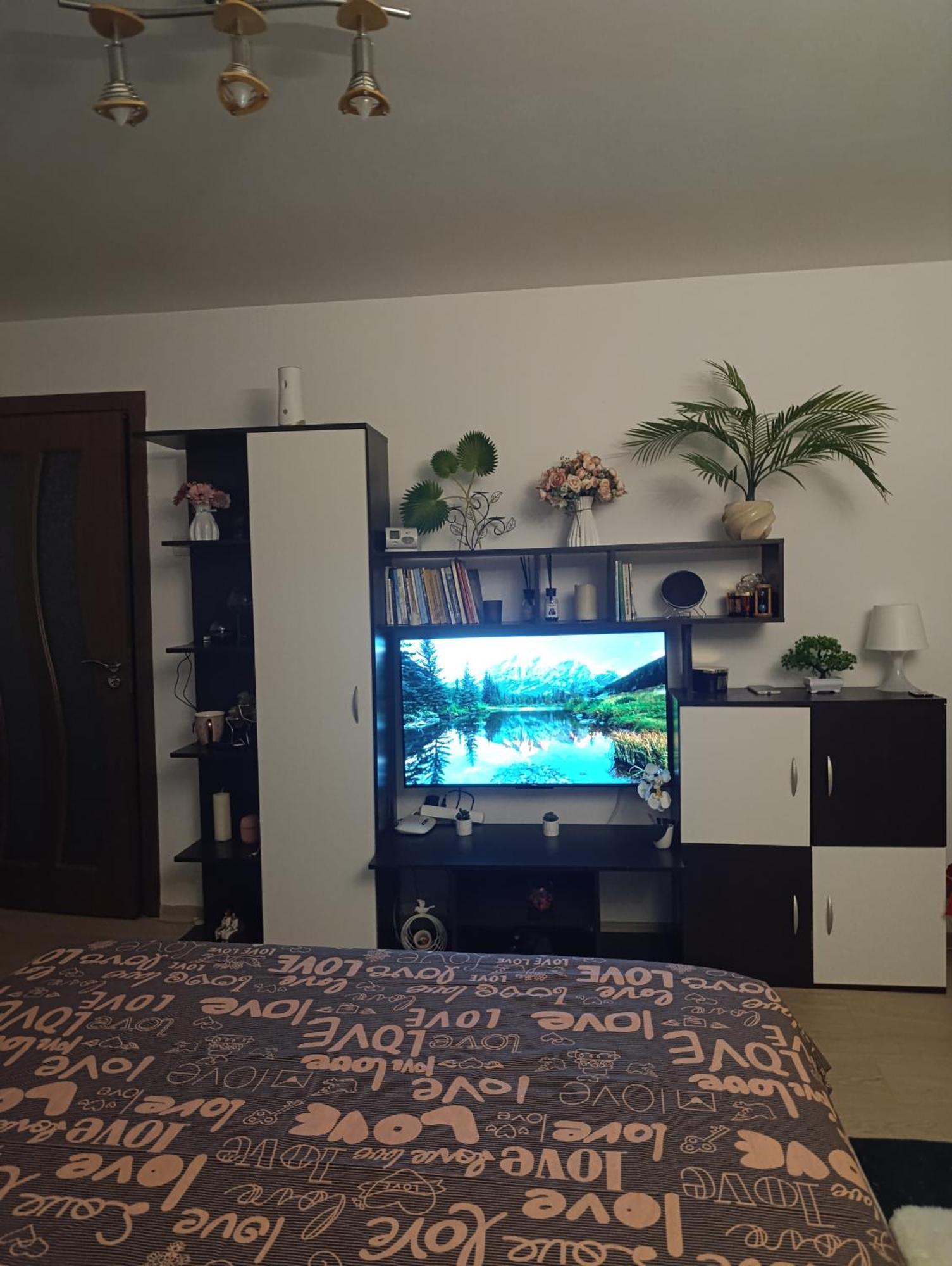 Garsoniera Rebecca Apartment ตือร์กูออกนา ภายนอก รูปภาพ